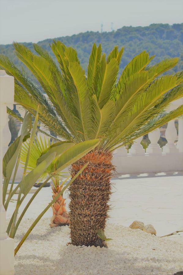 Villa La Terre Des Lauriers ヴァロリス エクステリア 写真